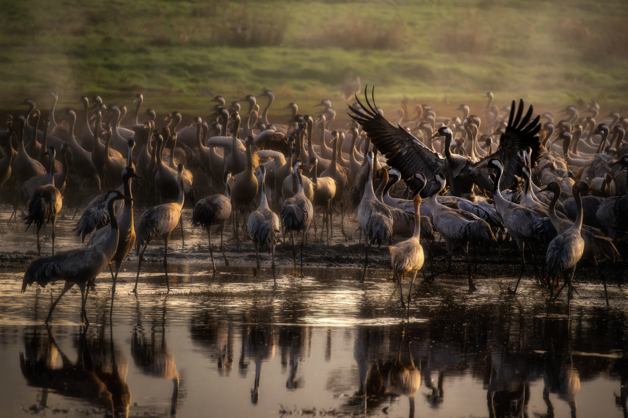 Gathering
