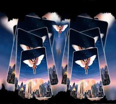 Fly