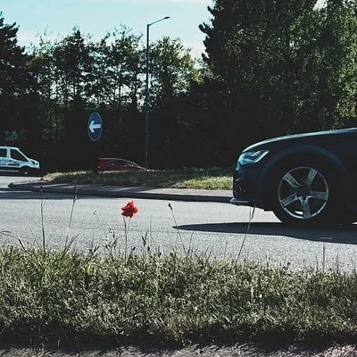 Roadside Leftovers