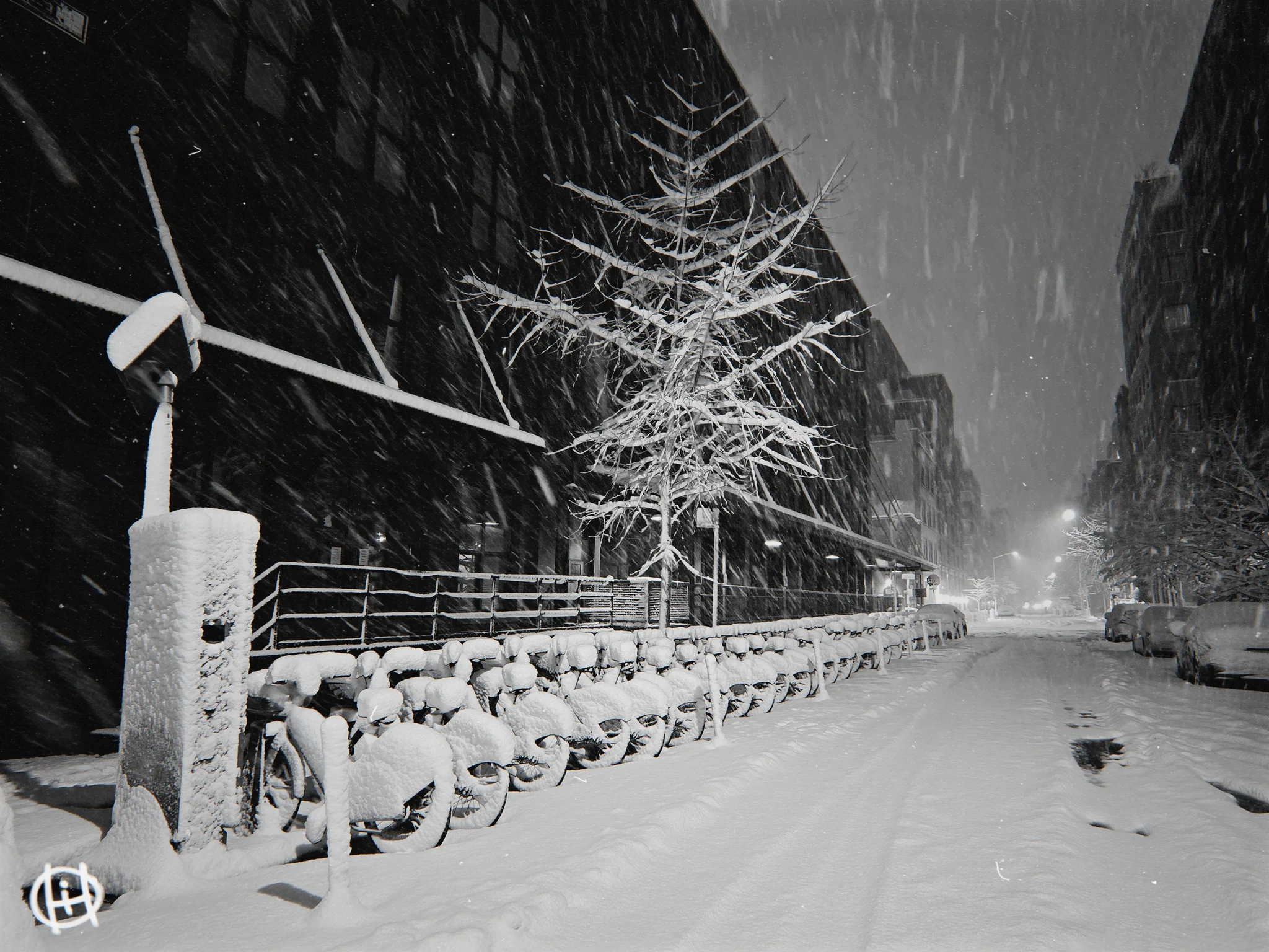 Bicycles, Quieted by the Storm