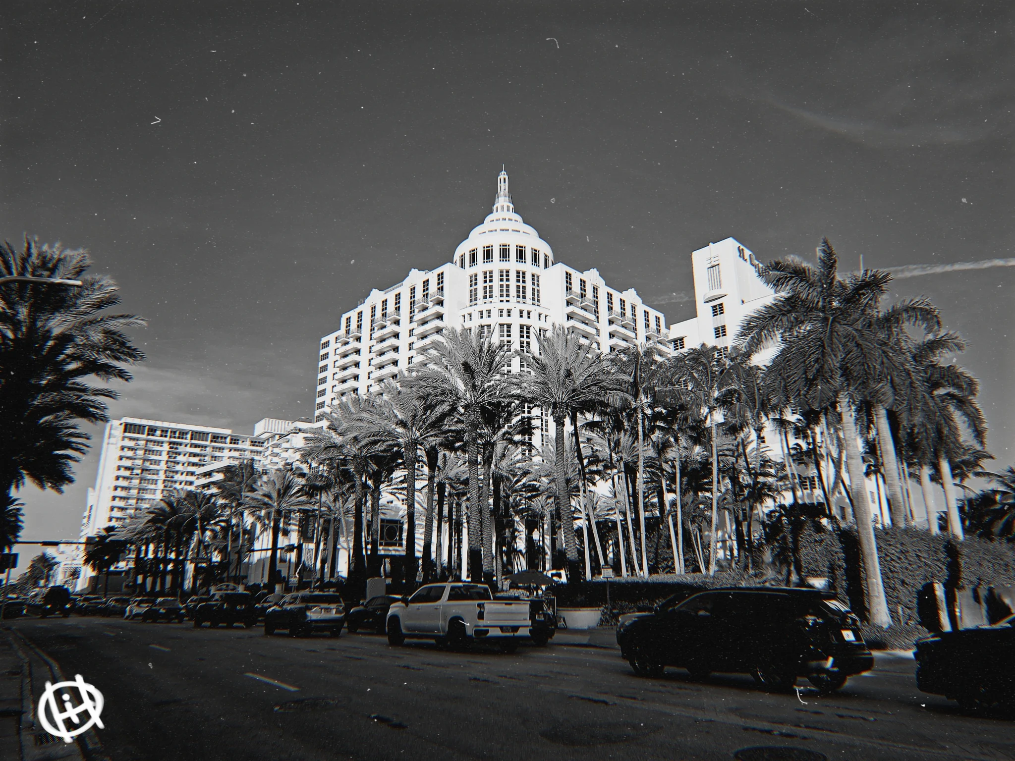 Palm-Crowned Grandeur