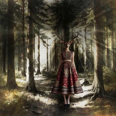 The lost deer