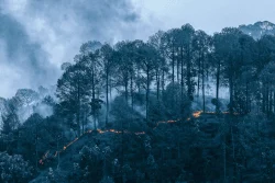 Fire Knows No Barrier
