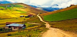Golden Plateau