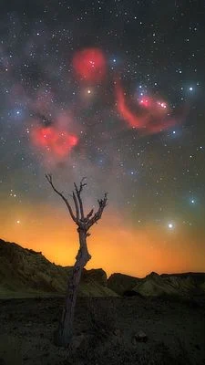 Distant Sky