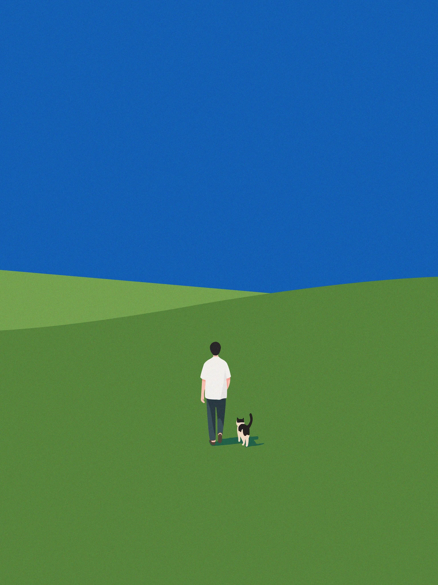 Where We Belong