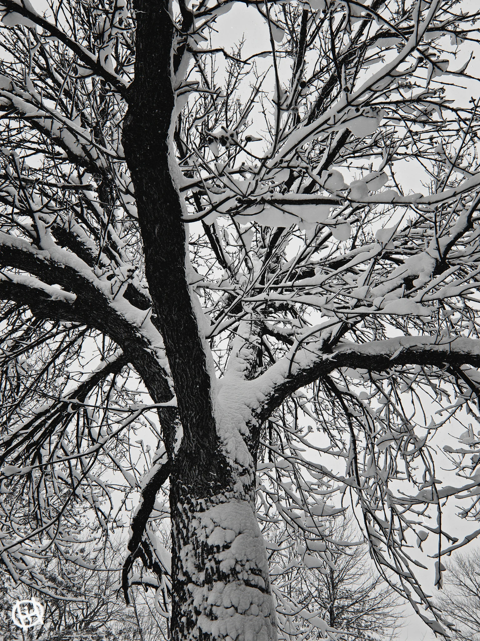 Winter’s Handwriting