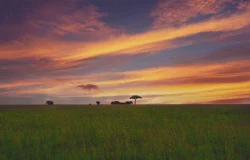 Twilight Ancients
