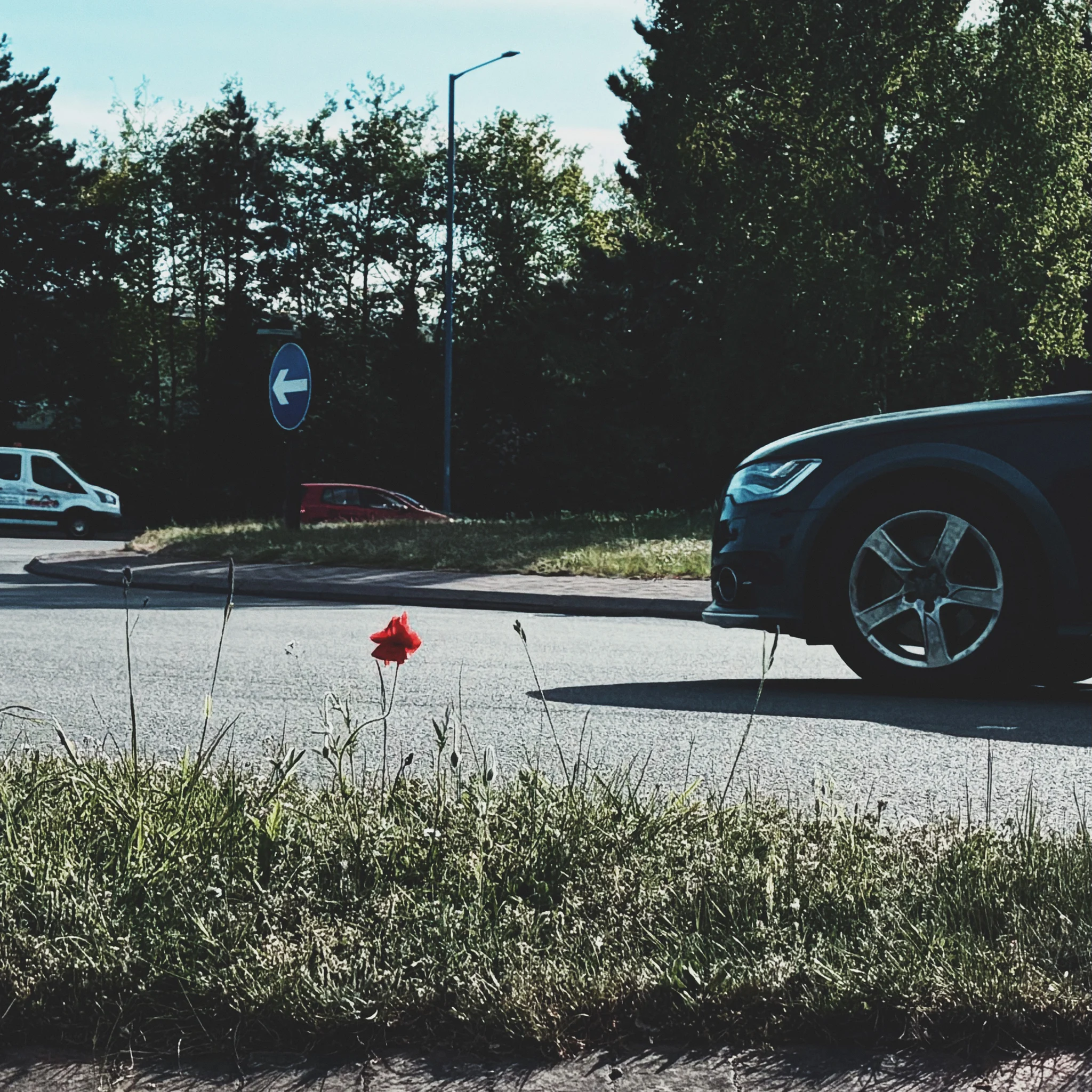 Roadside Leftovers