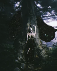 Dryad’s Portal
