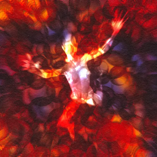 Bloodstream