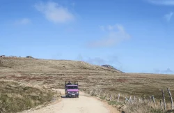 Discovery Road