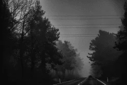 The Way of the Night
