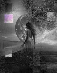Moonlit Dreams