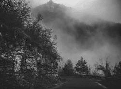 Foggy Road