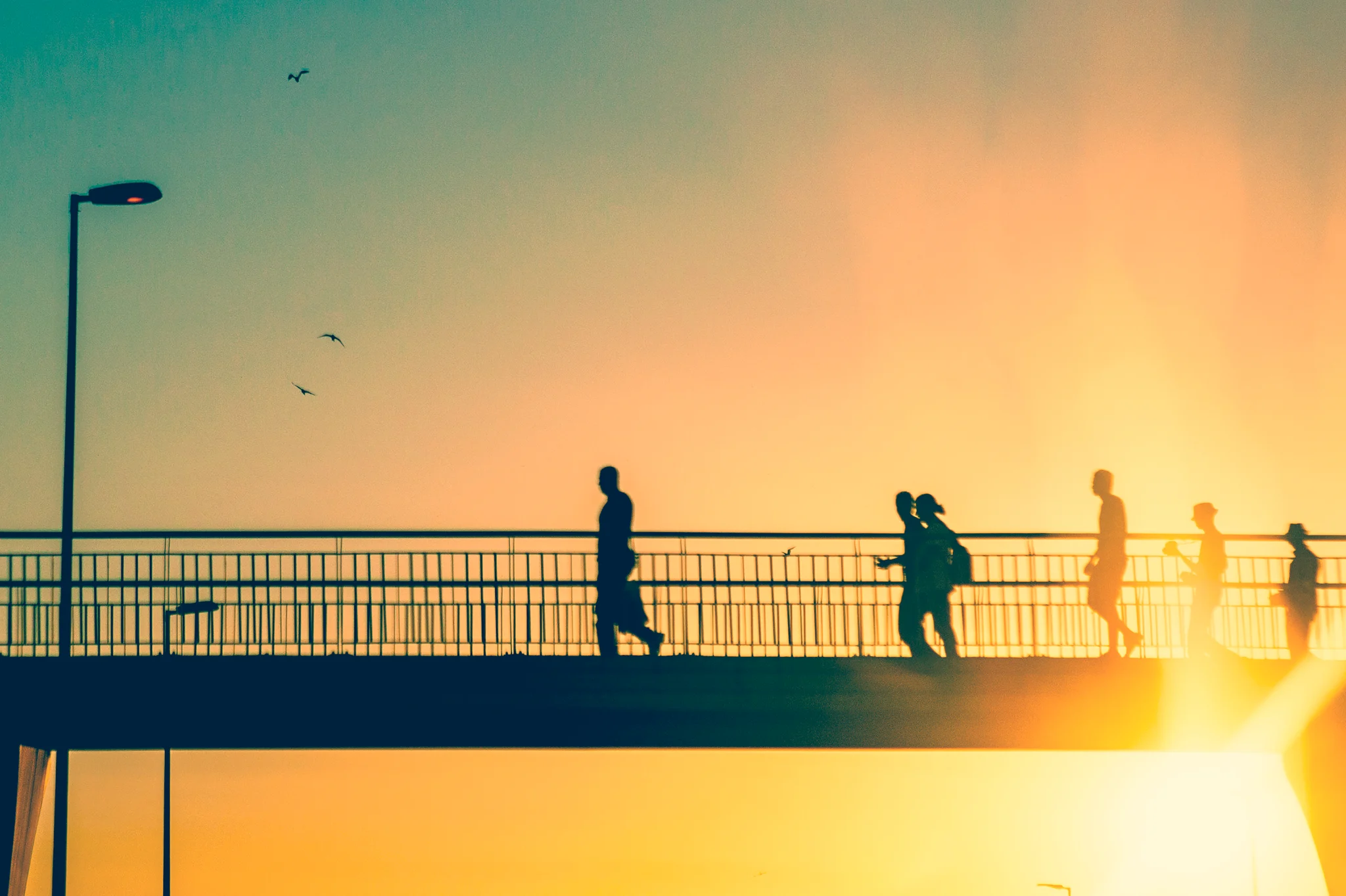 Encounter with the Sun