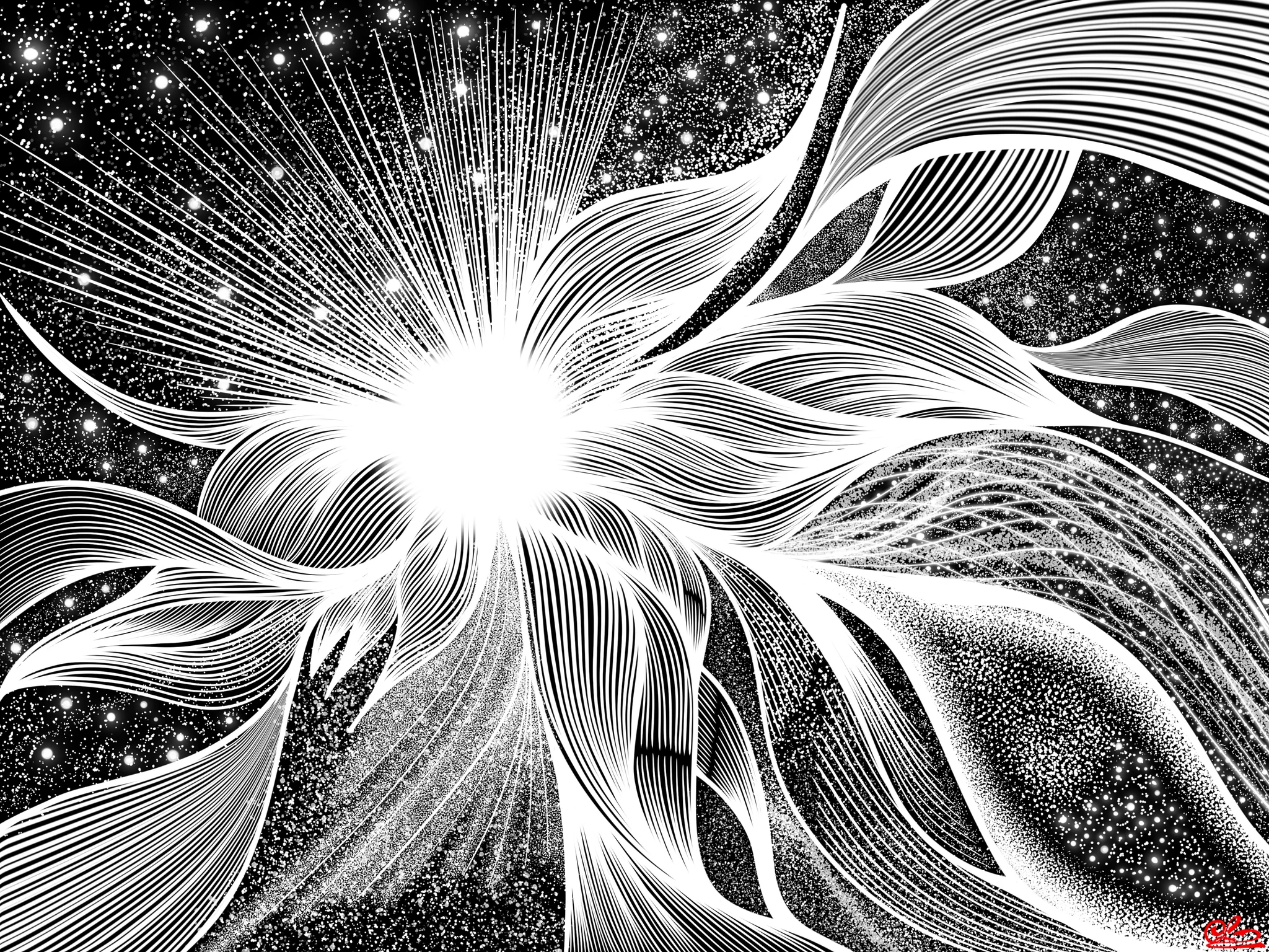 Cosmic Bloom in Motion