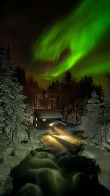 Whispers at the Night