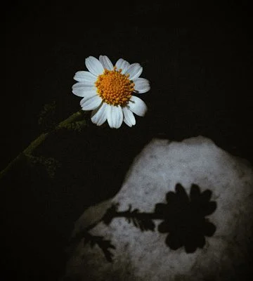 Eternal Bliss