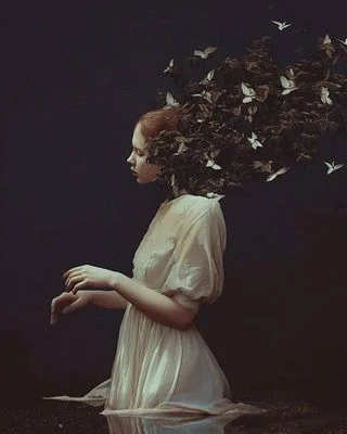 Where Silence Take Root