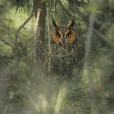 Asio otus
