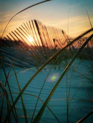 Sunrise in NC