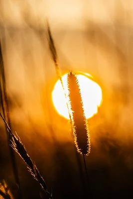 Early Luminance