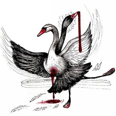 The Swan Queen