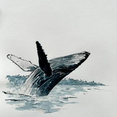 The Whale