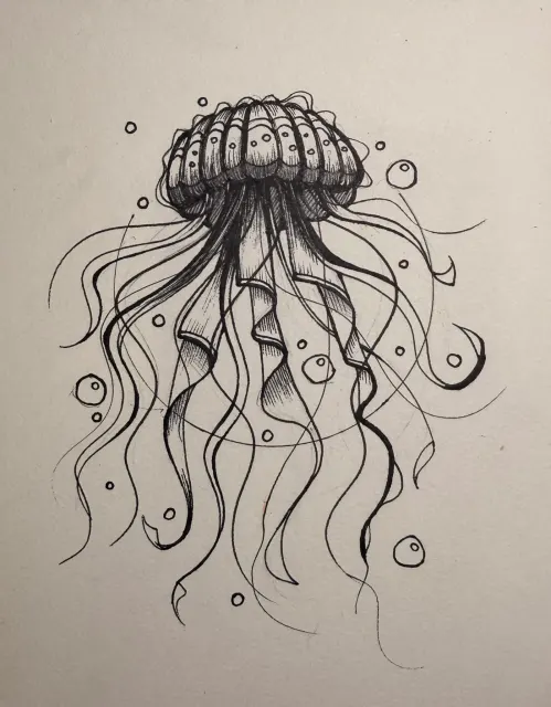 Jellyfish