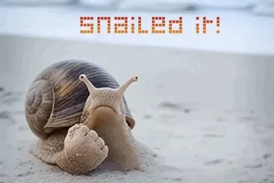 SNailed it!