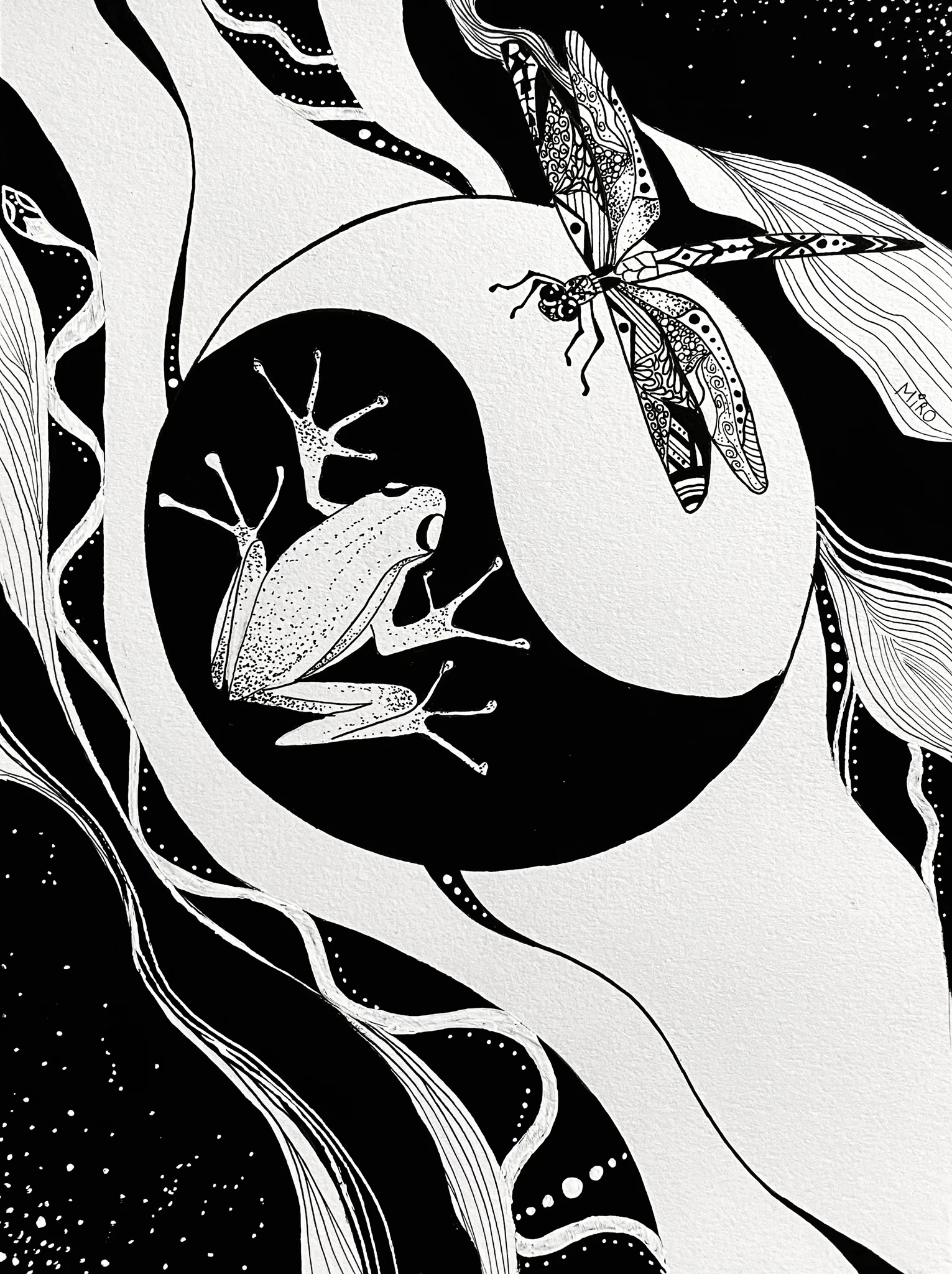 Yin Yang