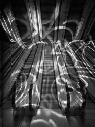 The Streak Project 009