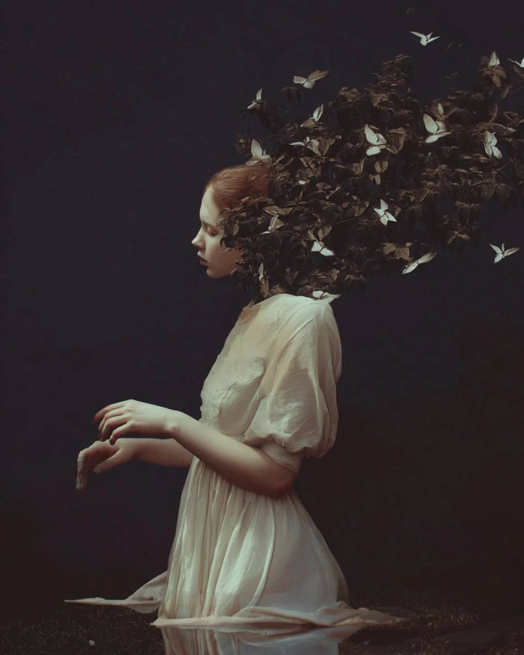 Where Silence Take Root
