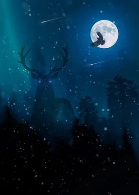 Nocturnal Mysteries