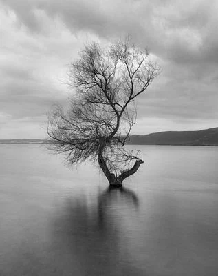 Echoes of Stillness