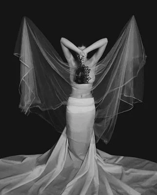 White swan