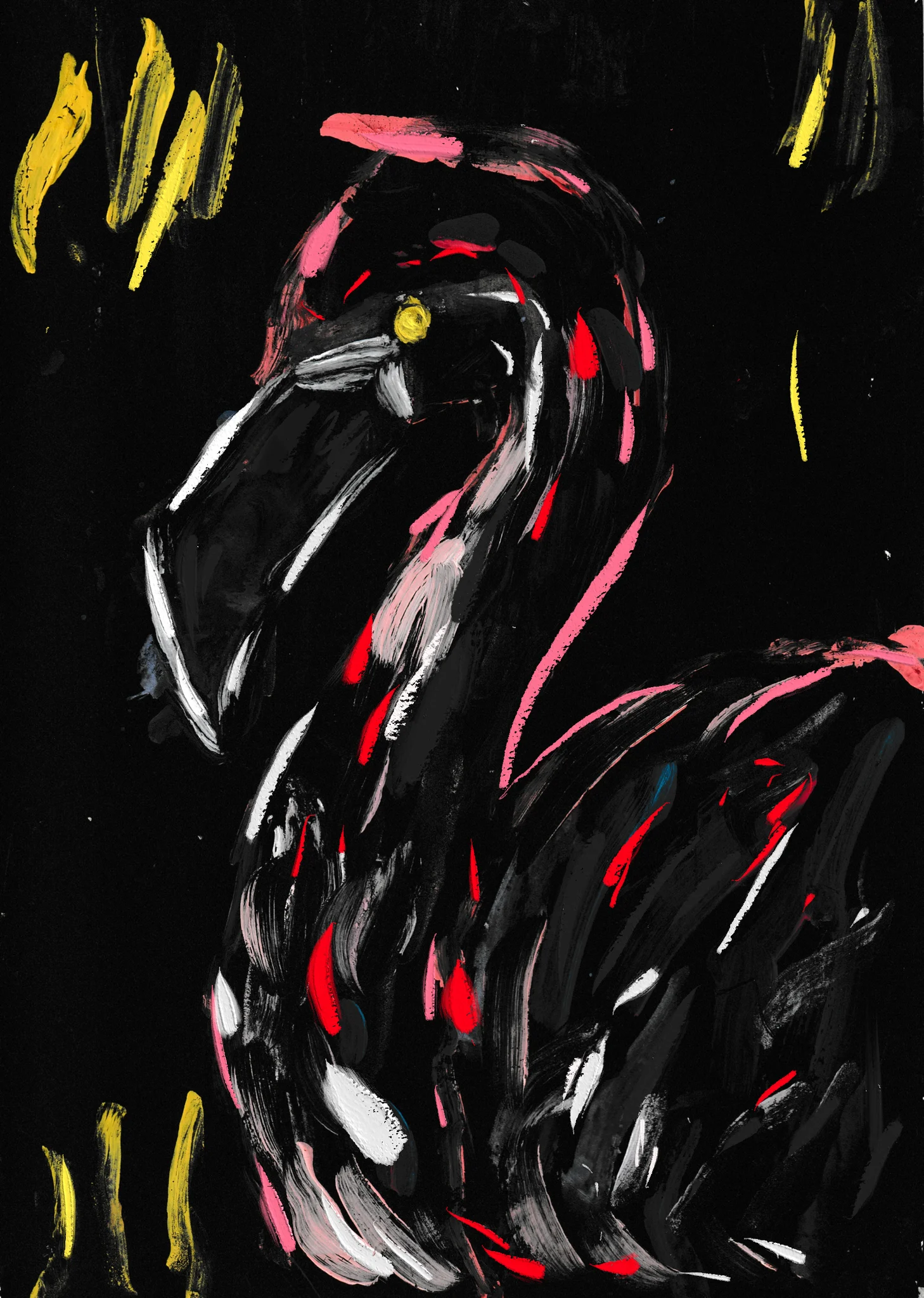 Flamingos