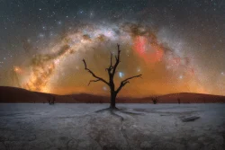 Deep Roots