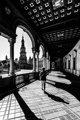 A Symphony of Shadows