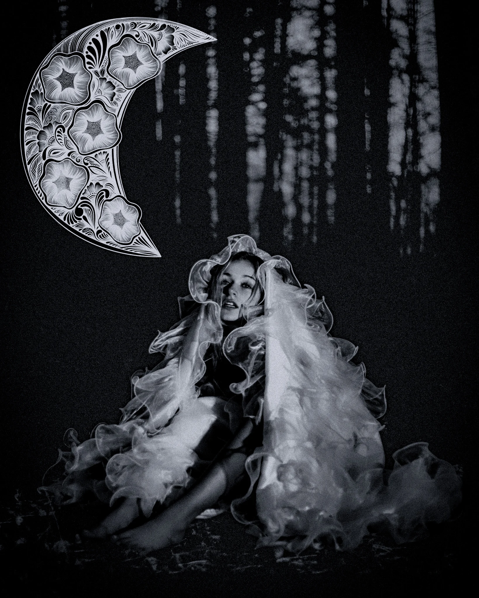 Nocturnal Reverie
