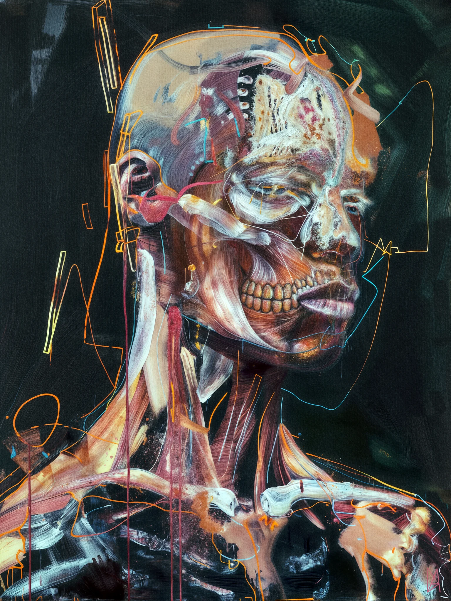 Anatomical Study B.