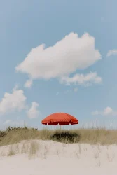 Summer Doldrum Diary - part 13