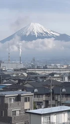 The Holy Mountain