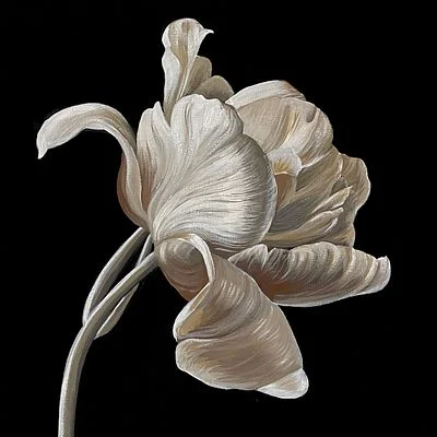 Gentleness