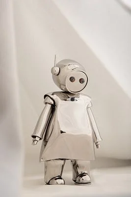 The Robot