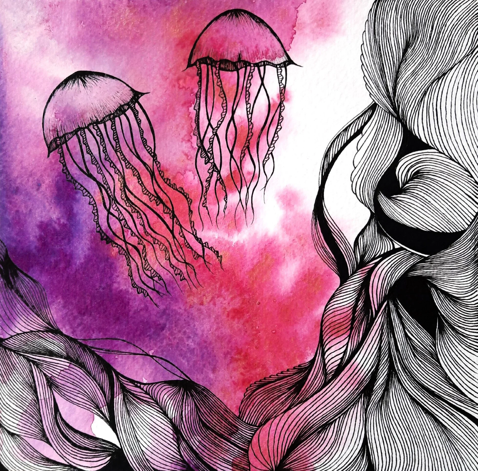 Dancer Jellyfishes