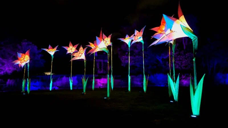 Petals of the Night