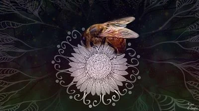 The Lonely Bee🐝