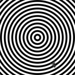 Fly On Acid